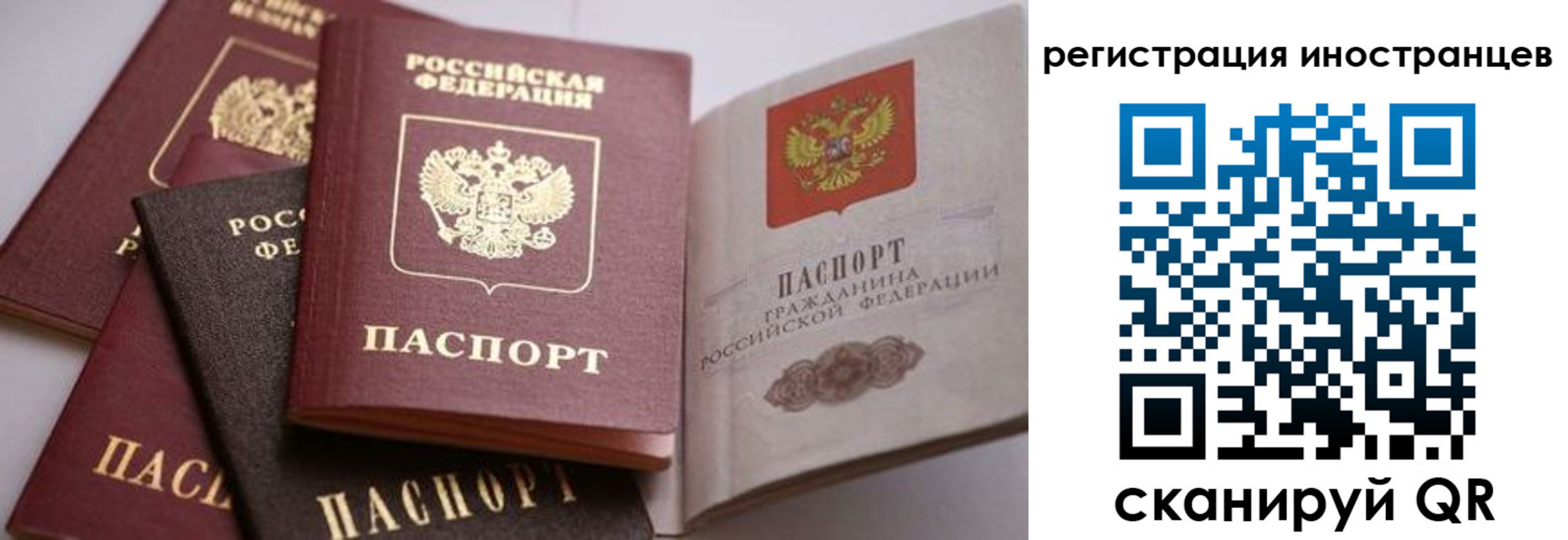 прописка штамп в Заполярном